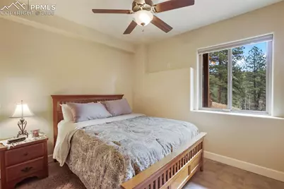 185 Wildcat Creek Drive, Florissant, CO 80816 - Photo 25