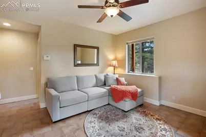 185 Wildcat Creek Drive, Florissant, CO 80816 - Photo 23