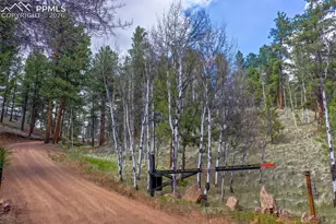 185 Wildcat Creek Dr, Florissant, CO 80816 - Photo 43