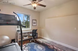 185 Wildcat Creek Dr, Florissant, CO 80816 - Photo 31