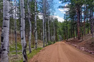 185 Wildcat Creek Dr, Florissant, CO 80816 - Photo 3