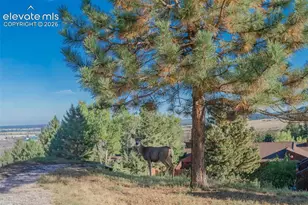 4500 Sentinel Rock Na, Larkspur, CO 80118 - Photo 27