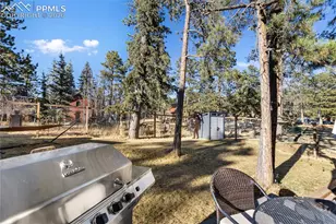 118 E Chester Ave, Woodland Park, CO 80863 - Photo 31