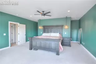 735 Woodmoor Acres Dr, Monument, CO 80132 - Photo 19