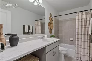 8514 Blue Feather Loop, Colorado Springs, CO 80908 - Photo 7