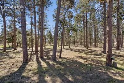 6055 Vessey Road, Colorado Springs, CO 80908 - Photo 39