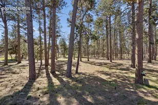 6055 Vessey Rd, Colorado Springs, CO 80908 - Photo 39