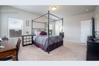 8141 Misty Moon Drive, Colorado Springs, CO 80924 - Photo 23