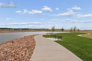 9807 Wolf Lake Drive, Colorado Springs, CO 80924 - Photo 47