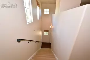 3744 Palazzo Grove, Colorado Springs, CO 80920 - Photo 17