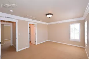 3744 Palazzo Grove, Colorado Springs, CO 80920 - Photo 21
