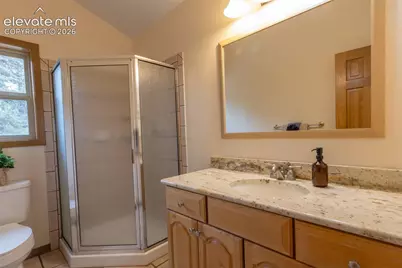324 Celtic Run, Florissant, CO 80816 - Photo 37