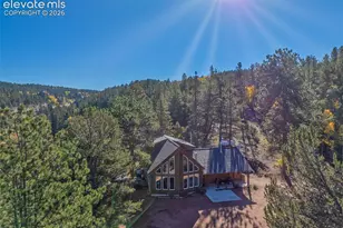 324 Celtic Run, Florissant, CO 80816 - Photo 5
