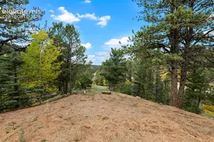 324 Celtic Run, Florissant, CO 80816 - Photo 41