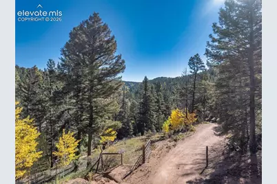 324 Celtic Run, Florissant, CO 80816 - Photo 19