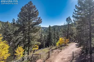 324 Celtic Run, Florissant, CO 80816 - Photo 19