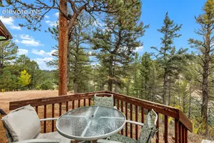 324 Celtic Run, Florissant, CO 80816 - Photo 49