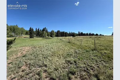 61 Stripling Lane, Divide, CO 80814 - Photo 41