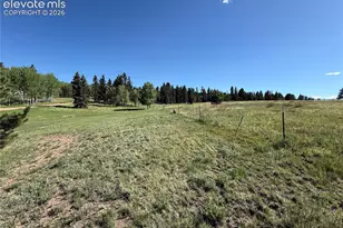 61 Stripling Ln, Divide, CO 80814 - Photo 41