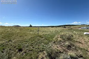 61 Stripling Ln, Divide, CO 80814 - Photo 35