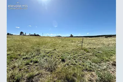61 Stripling Lane, Divide, CO 80814 - Photo 39