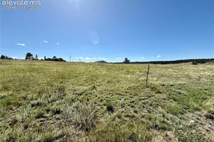 61 Stripling Ln, Divide, CO 80814 - Photo 39