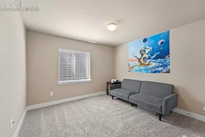 2972 Namib Drive, Colorado Springs, CO 80939 - Photo 35