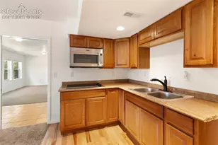 46 Kingston Cir, Florissant, CO 80816 - Photo 33