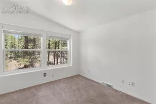 46 Kingston Cir, Florissant, CO 80816 - Photo 21