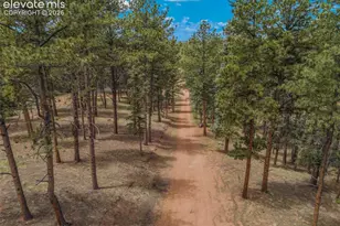 46 Kingston Cir, Florissant, CO 80816 - Photo 49
