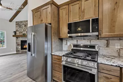 1279 N Mountain Estates Road, Florissant, CO 80816 - Photo 15