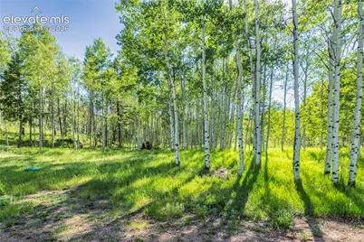 173 Deerview Drive, Florissant, CO 80816 - Photo 25