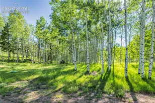 173 Deerview Dr, Florissant, CO 80816 - Photo 25