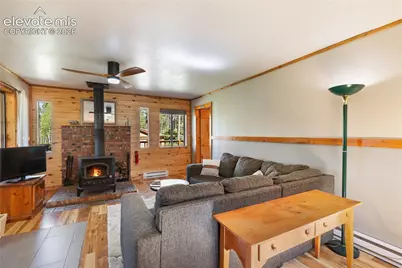 173 Deerview Drive, Florissant, CO 80816 - Photo 11