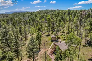 173 Deerview Dr, Florissant, CO 80816 - Photo 19