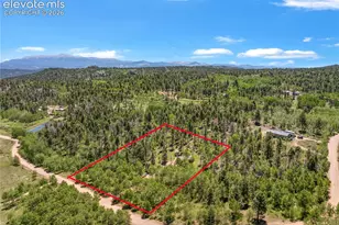 173 Deerview Dr, Florissant, CO 80816 - Photo 23