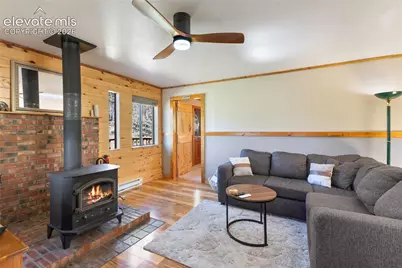 173 Deerview Drive, Florissant, CO 80816 - Photo 5