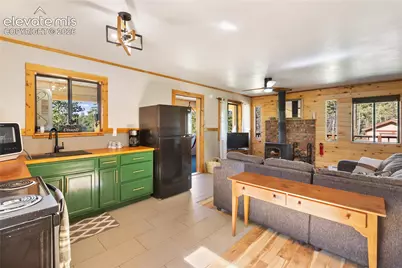 173 Deerview Drive, Florissant, CO 80816 - Photo 9