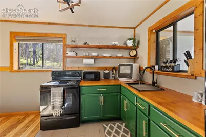 173 Deerview Drive, Florissant, CO 80816 - Photo 7