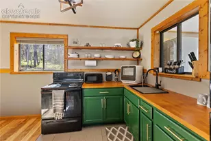 173 Deerview Dr, Florissant, CO 80816 - Photo 7