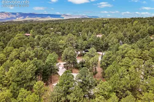 19295 Rim of the World Dr, Monument, CO 80132 - Photo 45