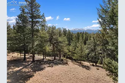 48 Walden Lake Circle, Divide, CO 80814 - Photo 9