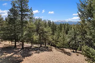 48 Walden Lake Circle, Divide, CO 80814 - Photo 9