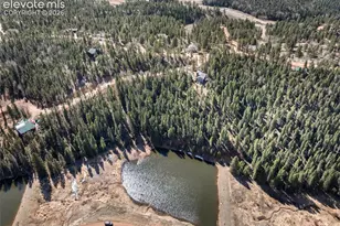 48 Walden Lake Circle, Divide, CO 80814 - Photo 43