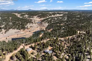 48 Walden Lake Circle, Divide, CO 80814 - Photo 49
