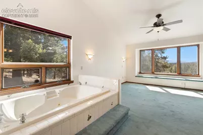 48 Walden Lake Circle, Divide, CO 80814 - Photo 29