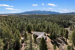 48 Walden Lake Circle, Divide, CO 80814 - Photo 5