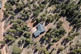48 Walden Lake Circle, Divide, CO 80814 - Photo 45