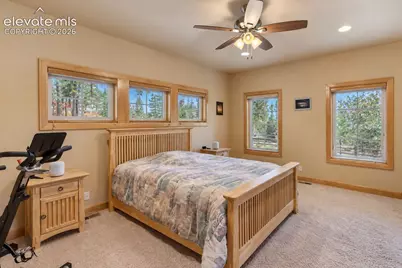 410 Karen Lane, Woodland Park, CO 80863 - Photo 9