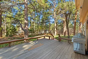 19850 Indian Summer Ln, Monument, CO 80132 - Photo 39